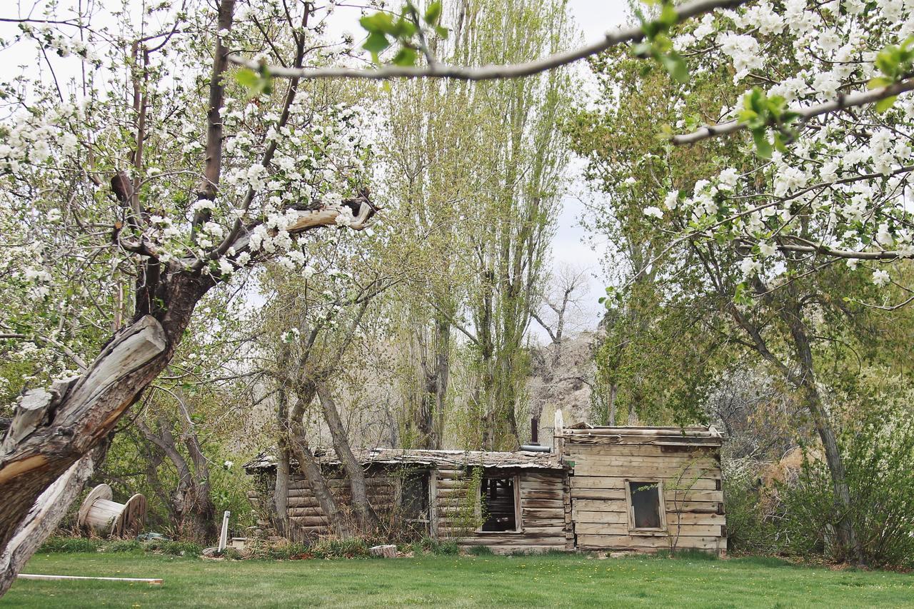 Hidden Canyon Retreat Baker Exterior photo